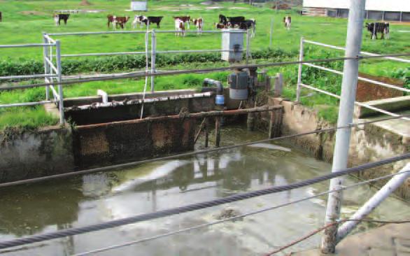 BACKGROUND The Western Australian dairy industry recognises the importance of having an environmentally sustainable industry that is committed to minimising the impact of dairy shed effluent on the