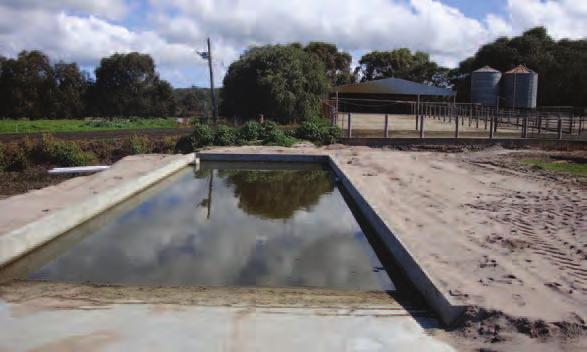 6 GUIDELINES FOR NEW DAIRY SHEDS These guidelines assist with the development of new dairy sheds to meet best practice expectations for effluent management in Western Australia.