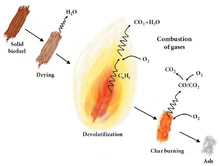 Section 6 6 BIOMASS COMBUSTION PROCESS Biomass combustion may be defined as a sequence of complex endothermic (heat-absorbing) and exothermic (heat-producing) chemical reactions between a biomass