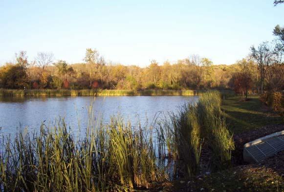 F. Detention ponds Ponds should be incorporated as focal features within a development.