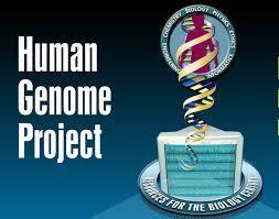 i. The human genome is the total amount of DNA in a cell.