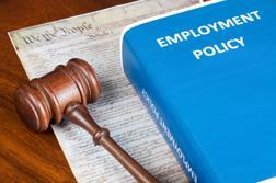 Overview of the Fair Labor Standards Act (FLSA) Exemptions Executive Exemptions Administrative Exemptions Professional Exemption Highly Compensated Exemption