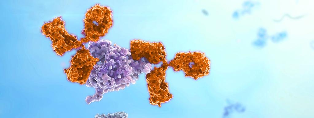 Advanced Therapeutic Antibody Discovery with Multiplexed Screening White Paper Scientists need powerful tools that can deliver results to fully understand the ability of candidate antibodies to