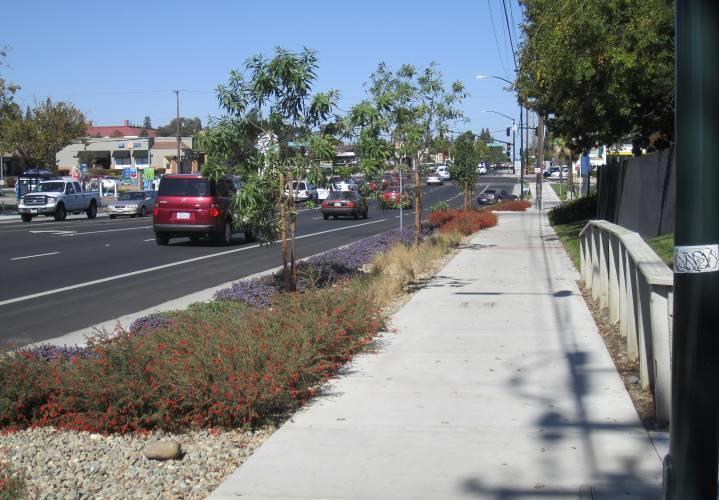 o Bans the use of turf in new parkways, planting strips, or medians.