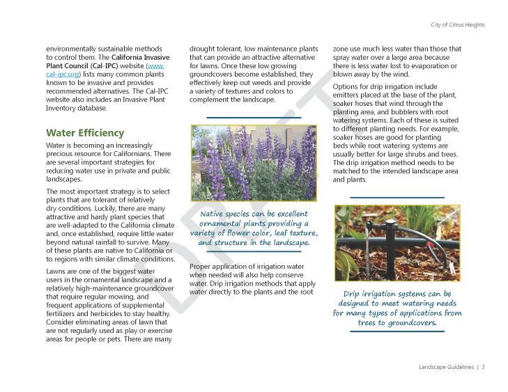 Landscape and Irrigation Guidelines Gives a