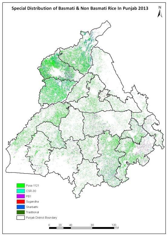 Table 13 Satellite based District wise Basmati & Non Basmati (Sharbati) Acreage Estimation in Punjab 2013-14 District wise Basmati & Non-Basmati (Sharbati) Acreage Estimation Basmati Rice Acreage
