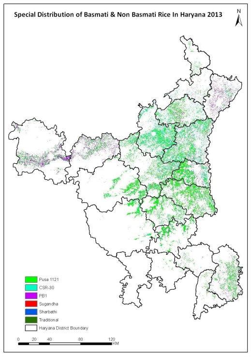S No Table 14 Satellite based District wise Basmati & Non Basmati (Sharbati & Sugandha) Acreage Estimation 2013-14 in Haryana District wise Basmati & Non-Basmati Acreage Estimation Non-Basmati Rice