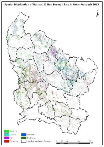 S No Table 15 Satellite based District wise Basmati & Non Basmati (Sugandha & Sharbati) Acreage Estimation 2013-14 in Uttar Pradesh District wise Kharif Basmati & Non-Basmati Acreage Basmati Rice