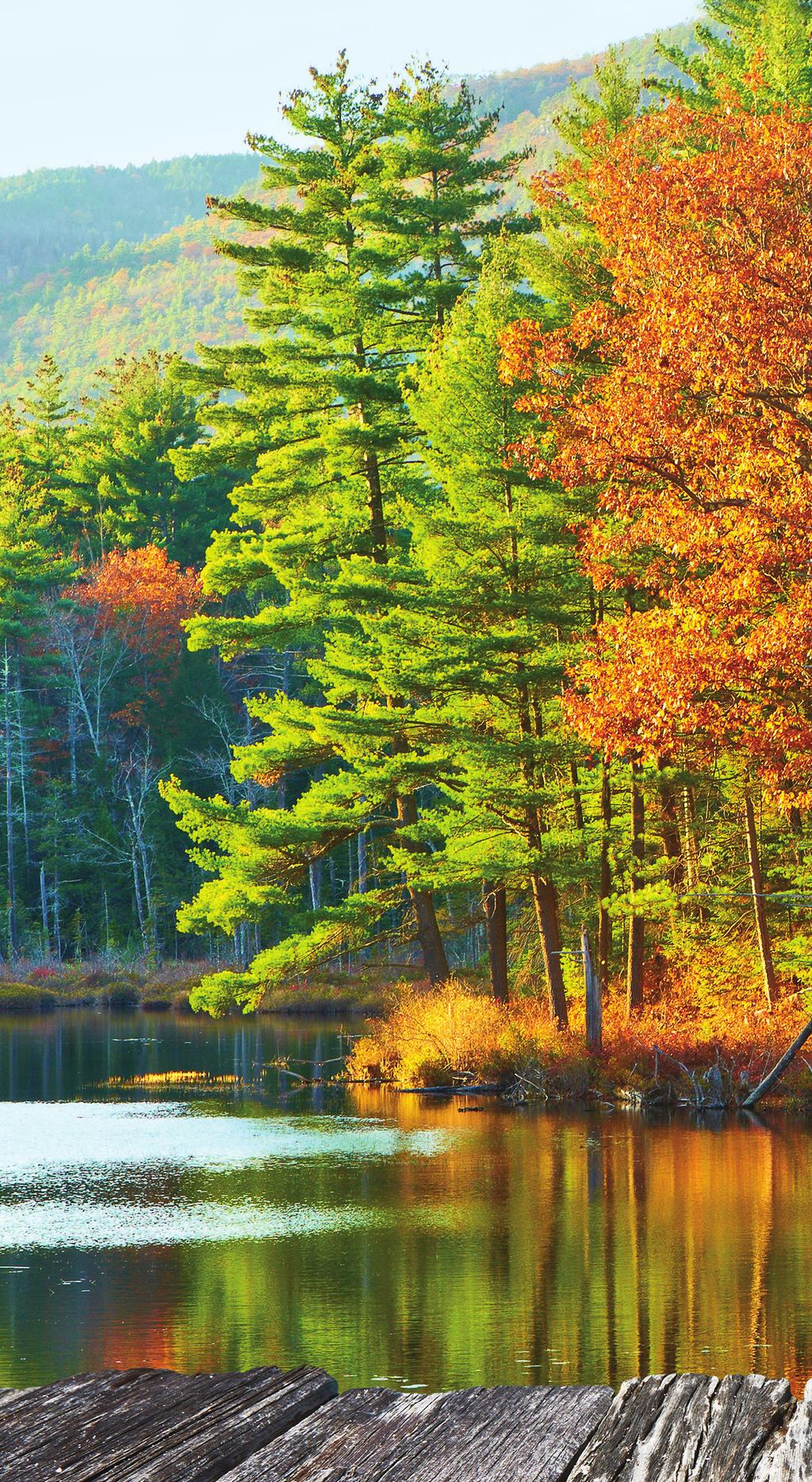 New England has a strong environmental commitment New England s demographics are very environmentally focused, and therefore, the region has adopted aggressive clean-air mandates and energy-saving