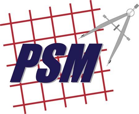 The Use of Objective Information In DoD Program Decision Making PSM Technical