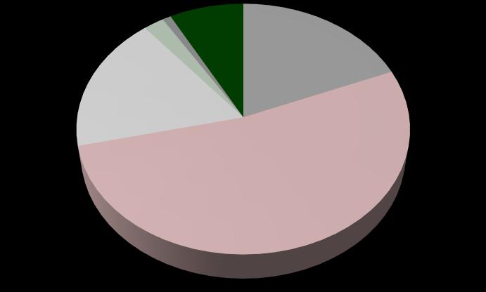 <1% 6% 19% 4% 55% pinyon/juniper Douglas fir