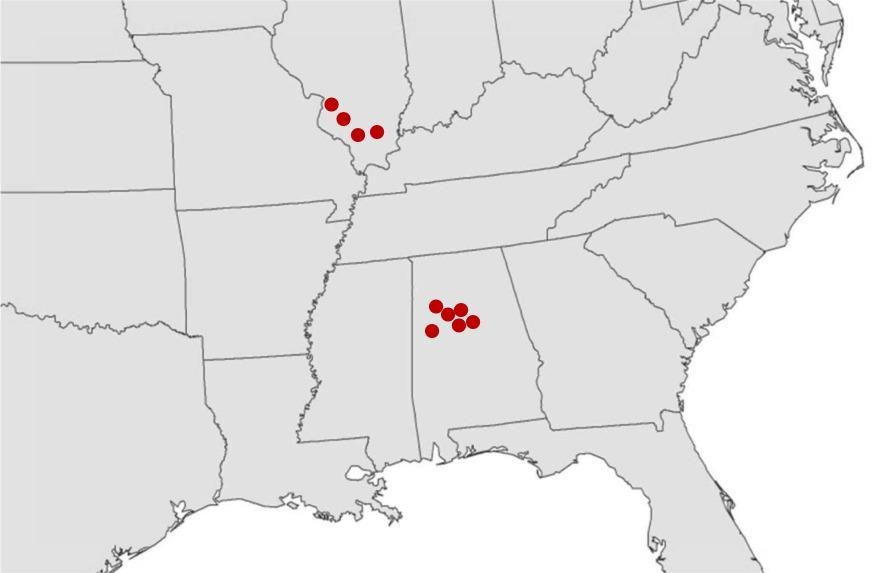 The study assigned future vessel call route groups based on historical route groups by vessel class. FIGURE 14: COAL HINTERLAND Steel Mobile serves the Southeast U.S. iron, steel and non-ferrous metals market.