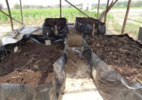 Vermicompost beds G. Water Harvesting Cum Aquaculture To increase economy of the poor farmers, pond size 25m x 15m.