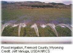 A1.b. Control Flooding In this method the irrigation water is applied by spreading it over the