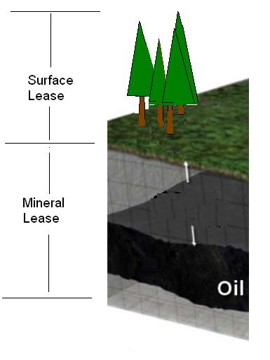 Surface and mineral leases Surface = Forestry Mineral =