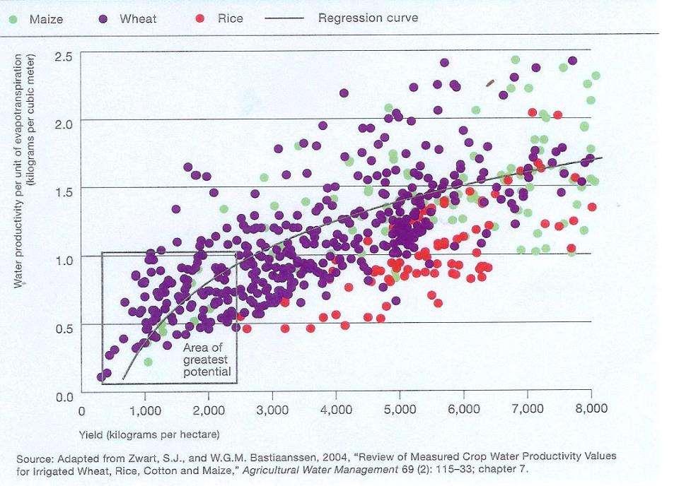 2011 World Average Corn Yield (750 kg water/kg corn) * U.S.
