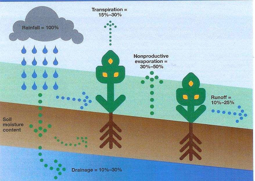 Only transpiration (T) results in crop growth, and T makes up only part (~40 to 70%) of evapotranspiration (ET) used to
