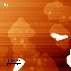 Fig. S8 Tapping-mode AFM images of the