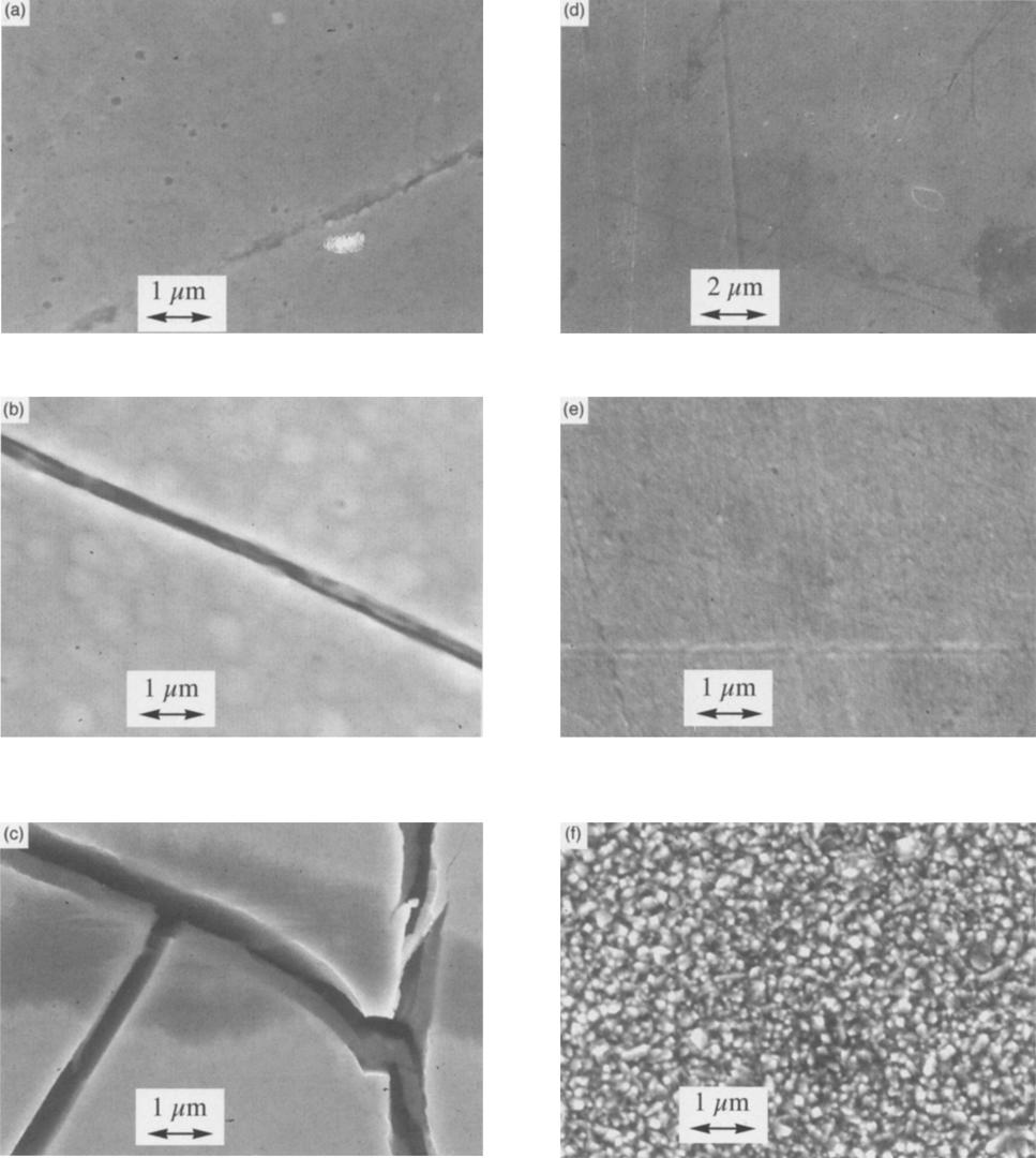 PLATINUM ELECTROPLATING PATHS-IV 877 Fig. 4. Scanning electron micrographs for platinum coatings on copper deposited at constant current.