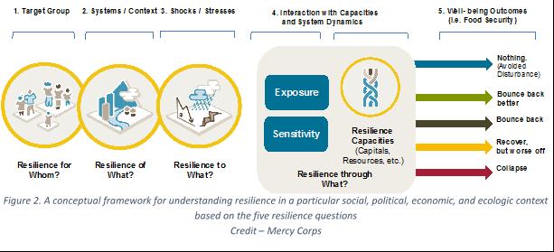 Figure 1: Integrating Gender into Resilience Frameworks4 Gender-focused resilience analysis confirms that shocks and stresses are perceived differently by men, women, boys, and girls.