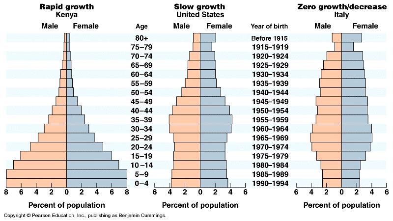 What will the population distributions look like in 20 years? 32.