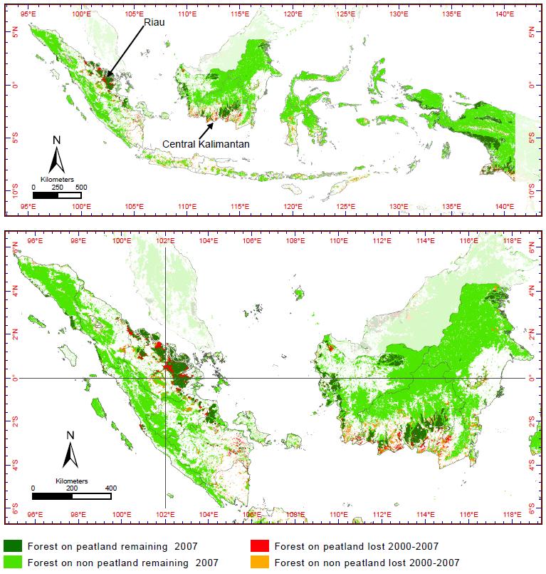 REDD and Indonesia and Riau Riau is the top driver of national deforestation. Riau s annual deforestation rate is higher than even in the Brazilian Amazon.