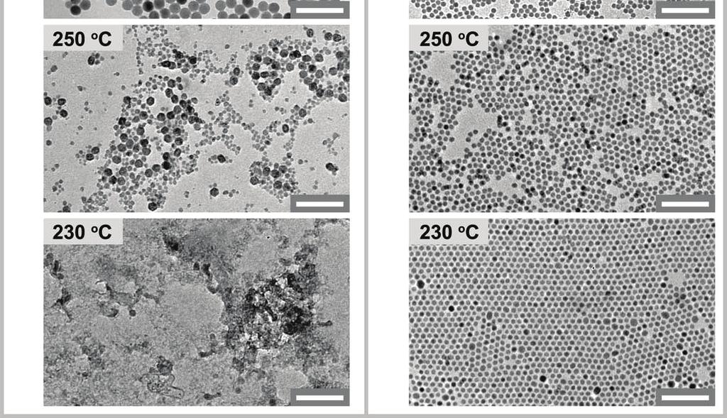 (c,d) XRD patterns and corresponding TEM images of the nanoparticles prepared in the presence of 30 mol % Gd3+.