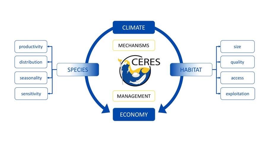 Climate links to economy Climate impacts directly and indirectly on