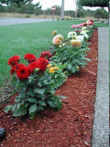 Requirements and Rationale Curb appeal considerations: enhanced landscaping