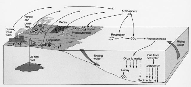 Volcanism, weathering CH4: Decomposition in Wetlands,