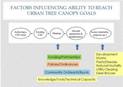 Tree Canopy Goal: Continually increase urban tree canopy capacity to provide air quality, water quality and habitat benefits throughout the watershed. Expand urban tree canopy by 2,400 acres by 2025.