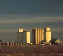 Grain Market Outlook & Strategies for 2016-2017 2016 KSU Risk & Profit Conference, Manhattan, Kansas DANIEL O BRIEN EXTENSION AGRICULTURAL ECONOMIST Key Grain Market Decisions & Issues for Kansas