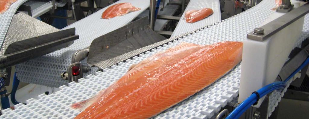 Salmon processing solutions Marel s expertise and experience in designing and manufacturing advanced processing solutions is unmatched in the industry.