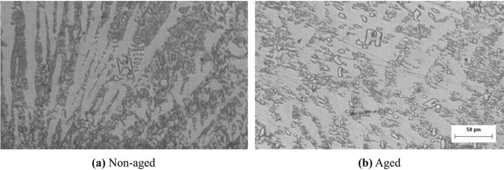 Figure 4 Microstructures of