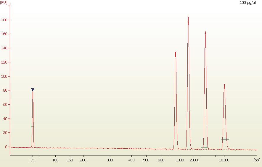 6 Checking Your Agilent High Sensitivity DNA Assay Results High Sensitivity DNA Sample Well Results Major features of a successful ladder run are: 15 peaks for High Sensitivity DNA ladder (including