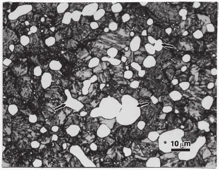 A A Figure 1. Ferrite grain structure of two low-carbon sheet steels: a) revealed with 2% nital (500x) and b) revealed with Klemm s I color etch (polarized light plus sensitive tint, 100x).