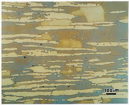 coarse plate martensite) in a D3 (Fe - 2.1% C - 12% Cr 0.5% Ni - 0.