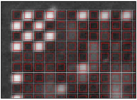 Expression Calculation Use only center 8x8 pixels for signal The raw data = DAT image files are converted to CEL files Each probe cell: 10x10 pixels Signal for each probe cell (PM and MM): 1) Remove