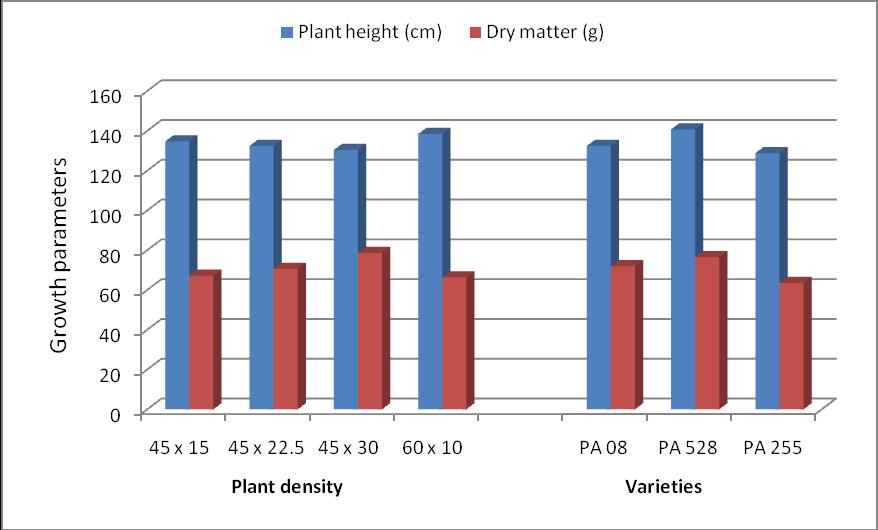 Fig.1 Plant height and dry matter accumulation of desi cotton as influenced by different plant densities and varieties The desi cotton variety PA 528 produced significantly more number of picked boll