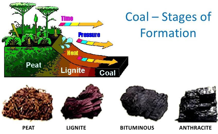 Fossil Fuels (coal) 1.