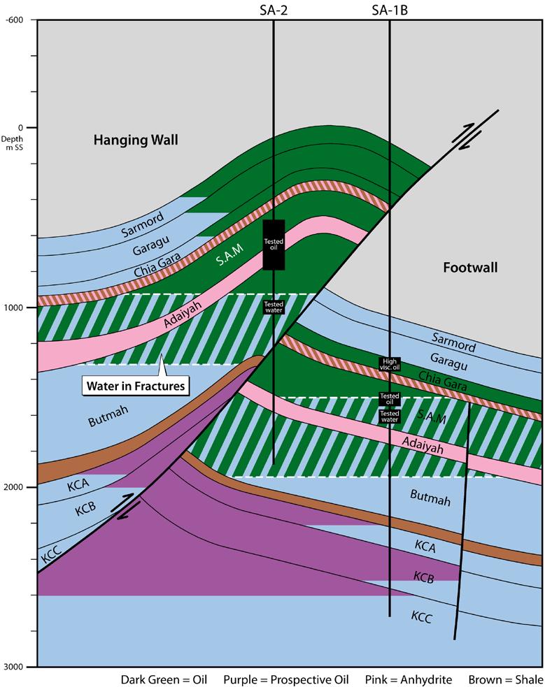 between Shaikan and Sheikh Adi also occurs in the Cretaceous reservoirs, whilst this is not necessarily the case for the Triassic reservoirs. 6.5.1. Cretaceous Figure 6.