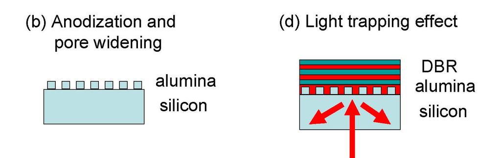 Light of the wavelength range of interest between 700 nm and 1200nm was generated by a white light source in combination with a monochromator.