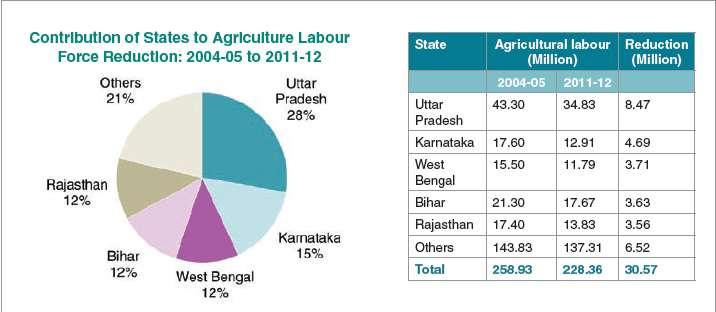 Labour intensity across crops: The impact of labour scarcity is more pronounced in case of certain crops like paddy, wheat, groundnut, cotton and sugarcane which require significant amount of labour