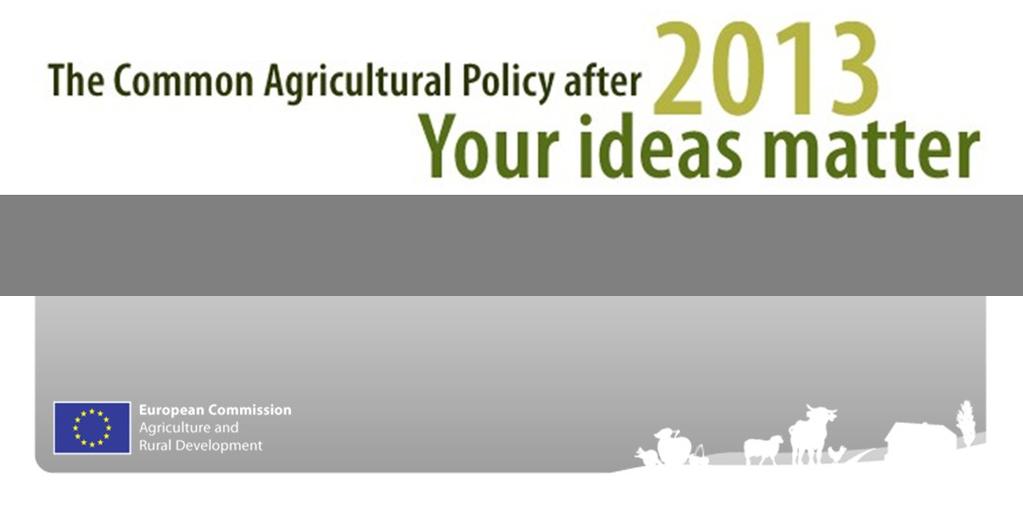 The Common Agricultural Policy after 2013 Public Debate Executive summary of contributions The Common Agricultural Policy is due to be reformed by 2013.