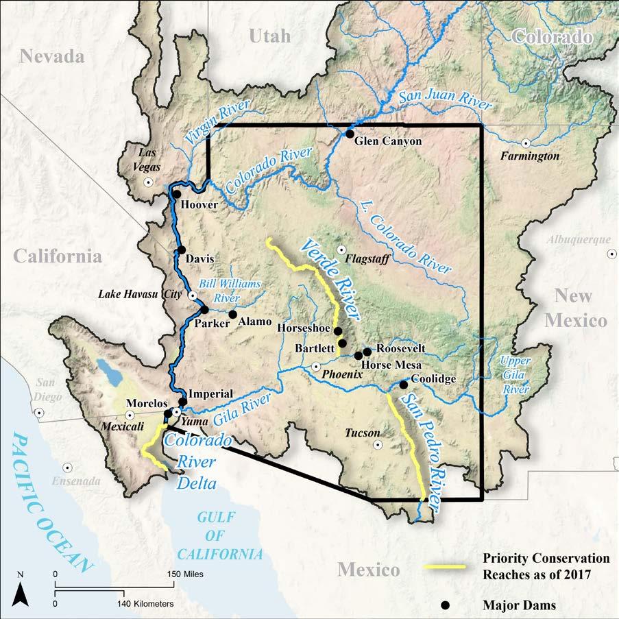 San Pedro River Tributary of the Colorado River Migratory corridor of hemispheric importance for 1-3 million birds annually First Riparian