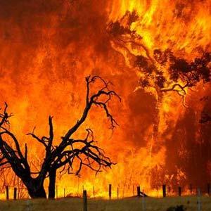 Drought can be a factor contributing to humanignited forest fires, which can lead to widespread deforestation and carbon emissions (p.