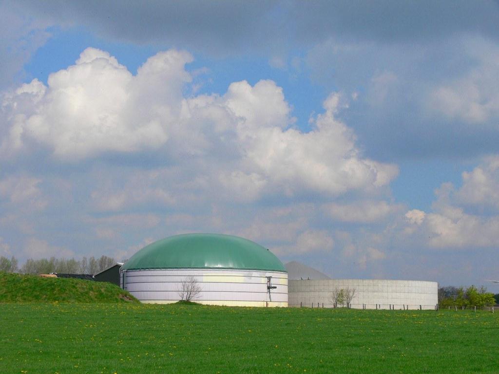 The right project design Different concepts of biogas = different success factors and risks Mean Characteristics: < 50 kw el, owned by farmer, on-site of the farm, integrated into farm processes,