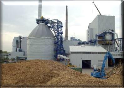 bioenergy market and was founded in 1998 to bundle the