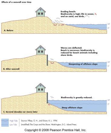 Case Study: Seawalls and Biodiversity Figure 4.B Figure 4.A The Golden Rule of the Environment: All About Timing Human vs.