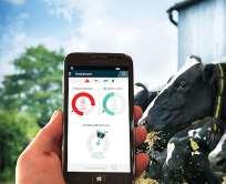 connectivity needs for the dairy